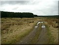 Track above the Hareshaw Burn