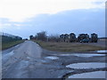 Trucks near Rollestone Camp.