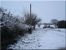 SJ0275 : Snowy lane by Dot Potter