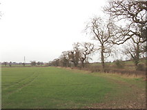 TQ2398 : Fields at Trotter's Bottom, Dyrham Park by David Hawgood