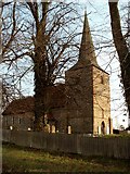 TL7616 : St. Mary's church, Fairstead, Essex by Robert Edwards