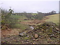 Bracken Gill