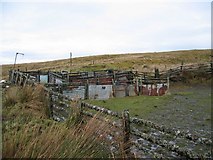 NG5736 : Sheepfold near Inverarish by John Allan