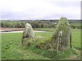 H3184 : Standing stones at Crew Lower by Kenneth  Allen