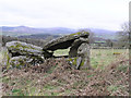 Main chambered grave at Ballyrenan (1)