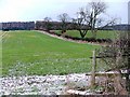 Field, Scugdale Farm