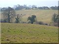 Fields near Goffin