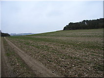 SU6590 : Farmland near Ewelme by Andrew Smith