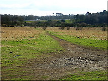 NS5358 : Muddy Track, Darnley by Iain Thompson
