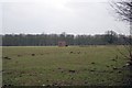 Pillbox near Shake Hole, Greetham