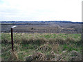 Disused Quarry near Manton