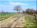 SU9402 : Rutted track near Lidsey Lodge Farm by Simon Carey