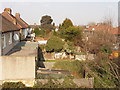 Back gardens of The Approach, North Acton