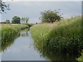 Market Weighton Canal