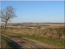 ST9218 : Farmland near Tollard Royal Dorset by Clive Perrin