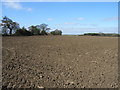 Farmland west of Chalgrove