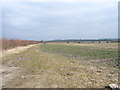 Farmland at Warpsgrove