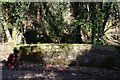 A Bridge over the Stream in a Wooded Valley