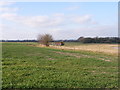 Farmland adjacent to RAF Benson