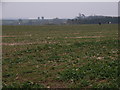 Farmland near Easington