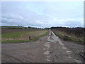 Single track road near Houghton Moor