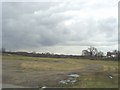 Field behind Morwick Terrace, Scholes