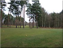 SU9766 : Wentworth Golf Course by Martyn Davies