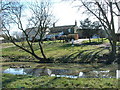 Bardsey village pond