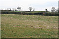 Broadhembury: fields south east of Kerswell