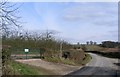 Bulmers orchards north of the lane to Ockeridge