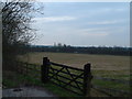 Farmland near the M4 motorway