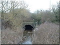 Rather overgrown Folly Bridge over Folly Brook