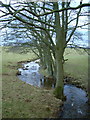 Dale Beck West of the Melmerby to Ousby road