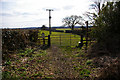 The Footpath to Usselby