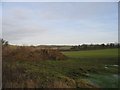 View towards the Dassett Hills