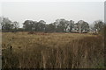 Fields south of Braishfield