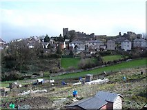 SJ0465 : Allotments and castle by Dot Potter