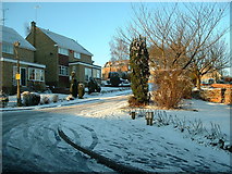 SE1918 : A snowy Cheviot Way, Upper Hopton by Nigel Homer