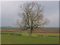 Farmland on the A614