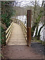 Clyde Walkway Near Crossford