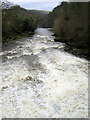 View Towards Stonebyres Falls