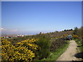 Kincorth Hill Nature Reserve