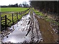 Wet Muddy Track.