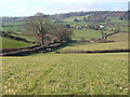 Branscombe Lane, near Dawlish