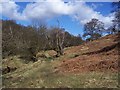 Valley of New Gill Beck