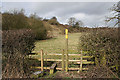SK7310 : Public Footpath near Thorpe Satchville by Kate Jewell