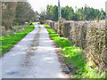 The driveway up to Southwood, near East Cowton