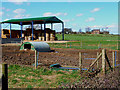 Farming miscellany, Yafforth Hill