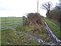 Footpath and field gate.