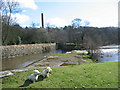 Peckwash Paper Mill on the Derwent